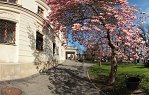 Na rožku u západní strany zámku